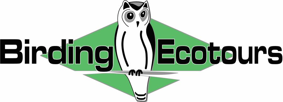 Logo of Birding Ecotours featuring a drawing of an owl
