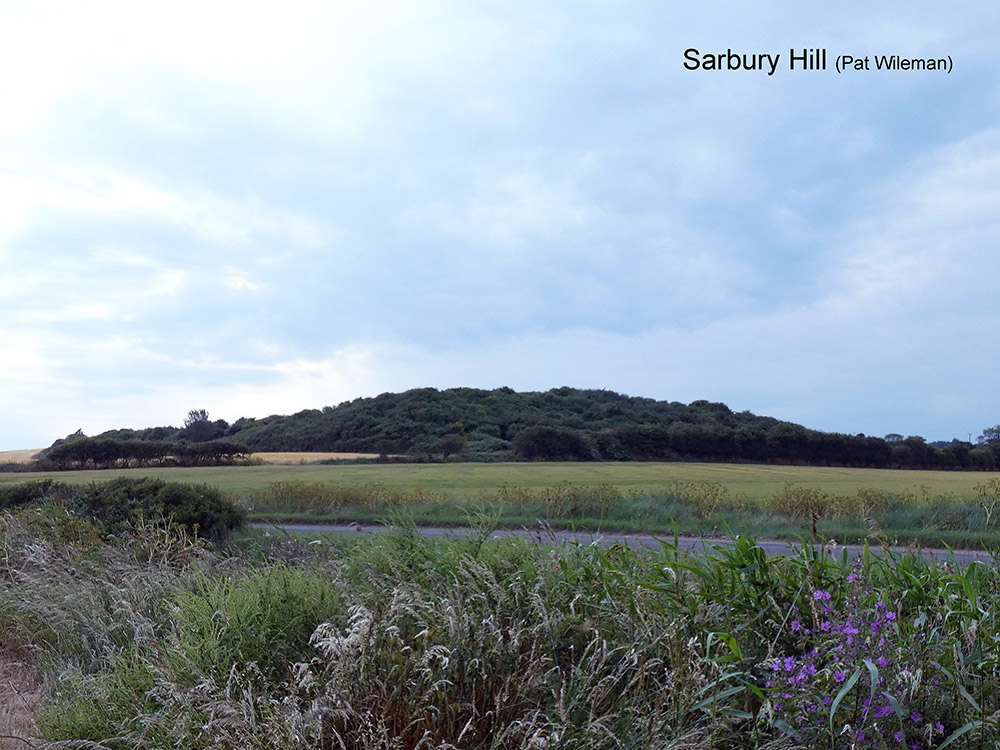 Salthouse-Sarbury-Hill-P1000878
