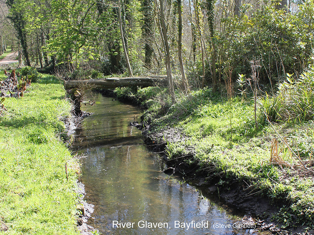 Wiv-River-Glaven,Bayfield